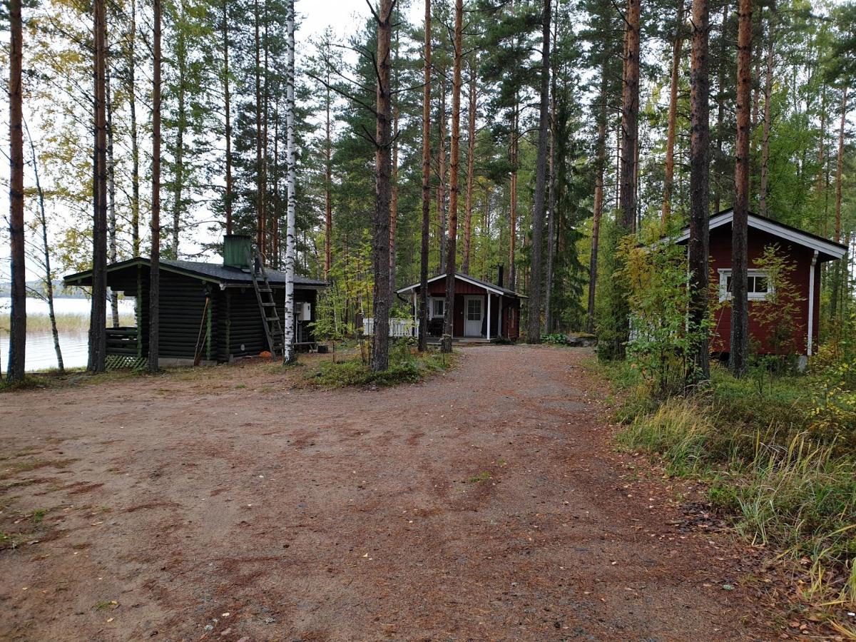 Nestorin Maja Villa Puumala Buitenkant foto